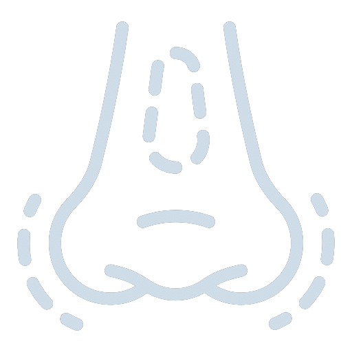Nose and Sinus Icon
